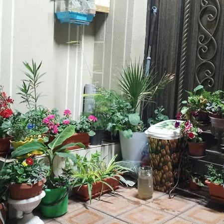 Hotel Guest House Golden Degrez 布哈拉 外观 照片
